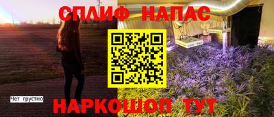 не бодяженный Бийск