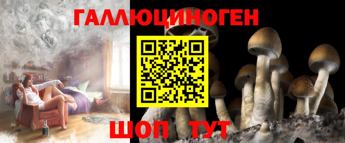Галлюциногенные грибы Psilocybine cubensis Зеленодольск